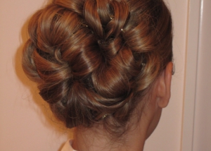 Back View Up Do Picture, Hair Dresser, Albany, NY - Complexions Spa for Beauty and Wellness