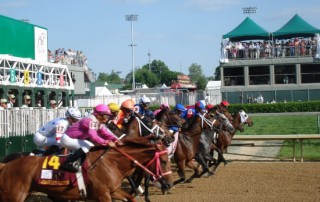 Race Horses Leaving the Gate at Saratoga Race Track