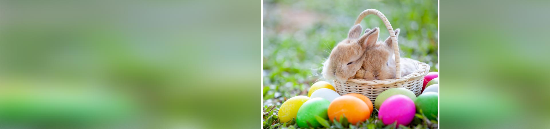 Custom Spa Easter Basket Slider