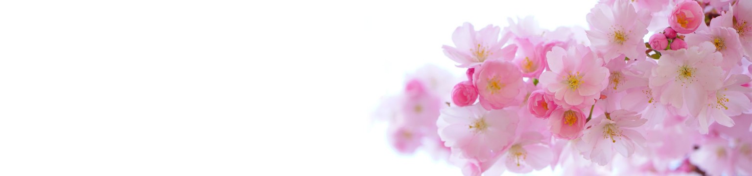 Spa Gifts For Mother's Day Slider - Japanese Cherry Tree