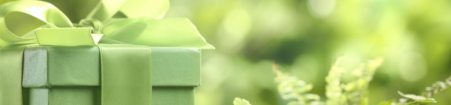 Holiday Spa Special slider - Green present on grass