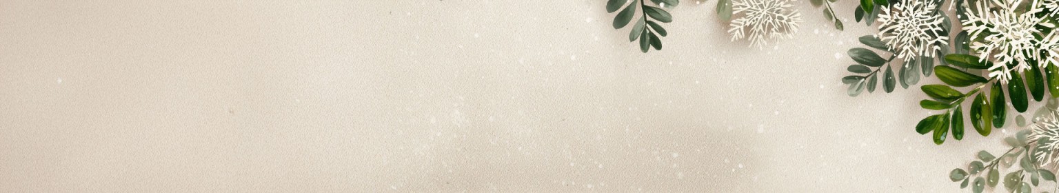 Black Friday banner background - tan with snow flakes and branches
